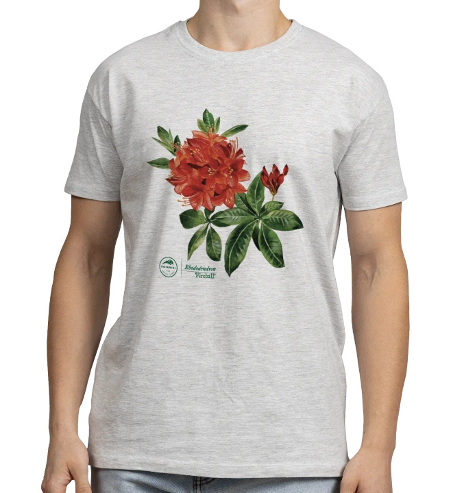 Rhododendron 'Fireball' — classic unisex t-shirt