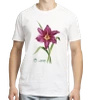 Summer Wine daylilies — classic t-shirt