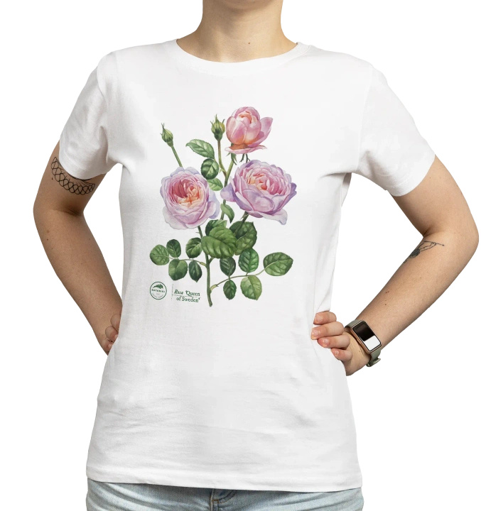Rose 'Queen of Sweden' — women's t-shirt