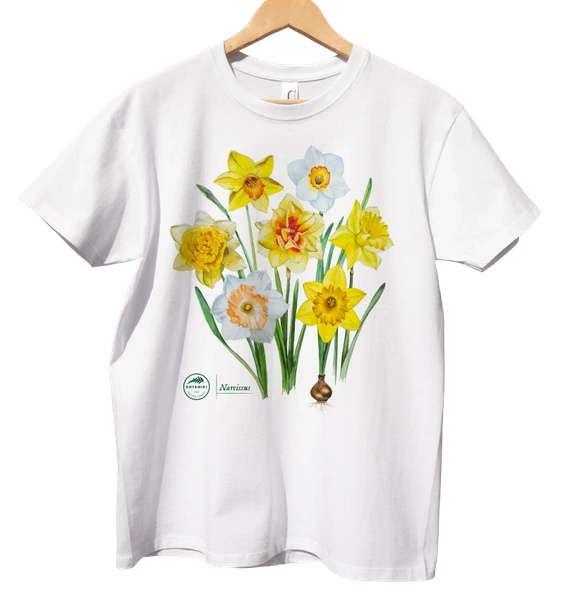 Daffodils — classic t-shirt