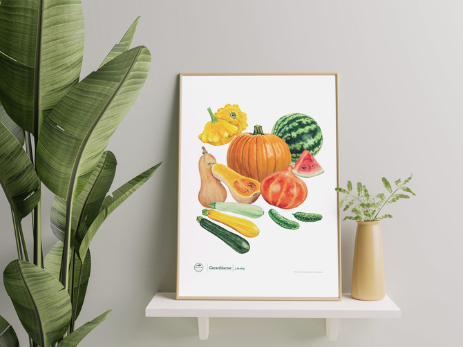 Cucurbit vegetables — plant motif poster