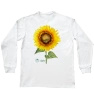 Common sunflower — long sleeve t-shirt