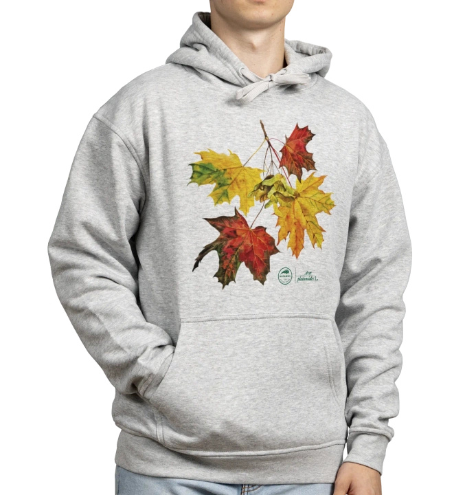 Norway maple — hoodie