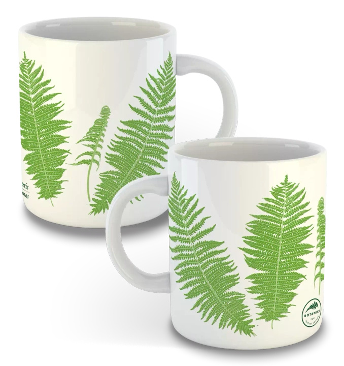 Male fern — classic mug