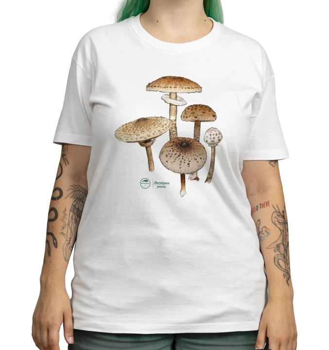 Parasol mushroom — classic t-shirt