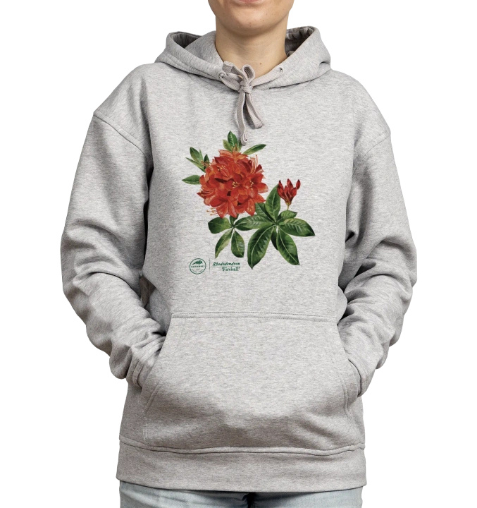 Rhododendron 'Fireball' — hoodie