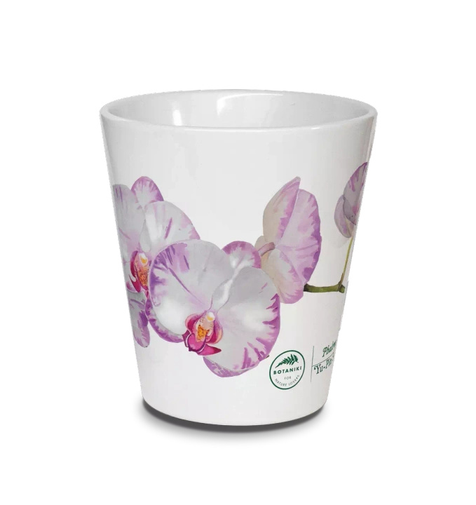 Orchid phalaenopsis — latte mug