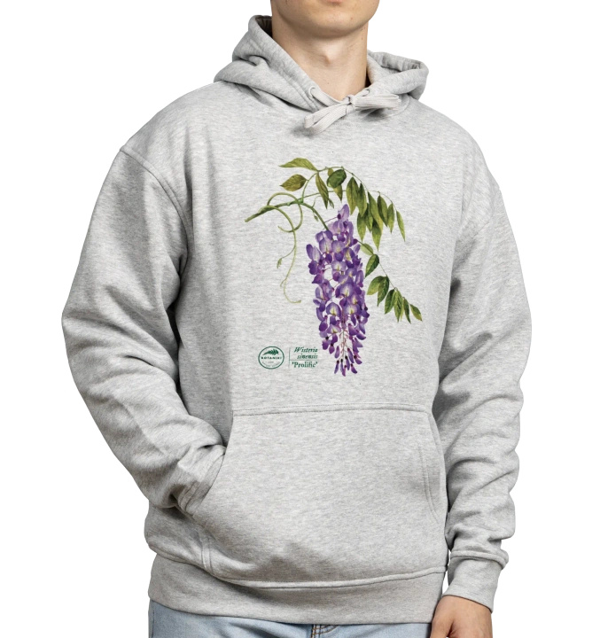 Chinese wisteria 'Prolific' — hoodie