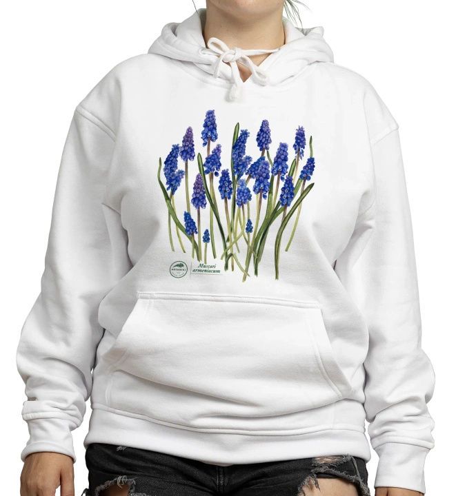 Armenian grape hyacinth — hoodie