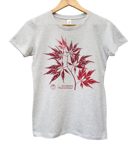 Acer Dissectum Garneta — women's t-shirt