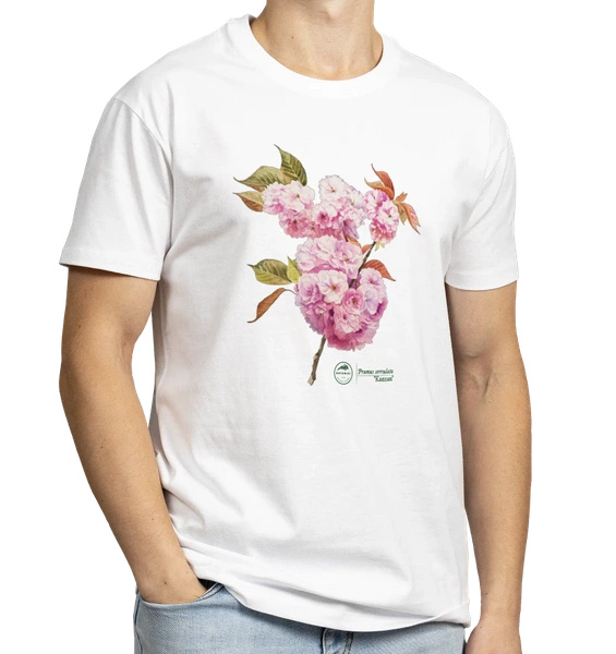 Cherry blossom 'Kanzan' — classic unisex t-shirt