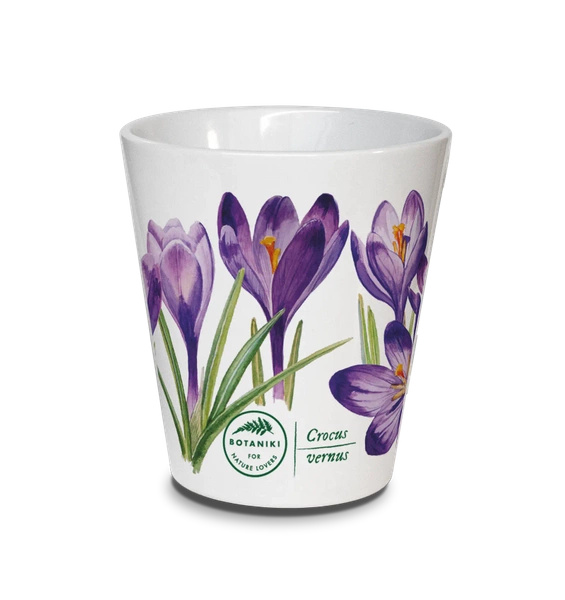 Spring crocus — latte mug