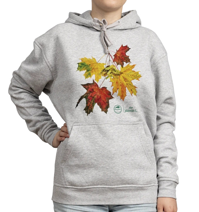 Norway maple — hoodie