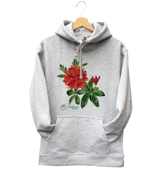 Rhododendron 'Fireball' — hoodie