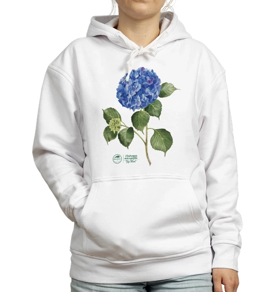 French hydrangea 'Jip Blue' — hoodie