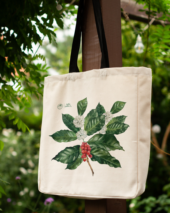 Coffea arabica — premium cotton bag
