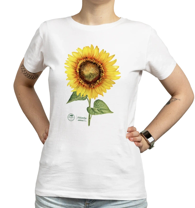 Common sunflower — women's t-shirt