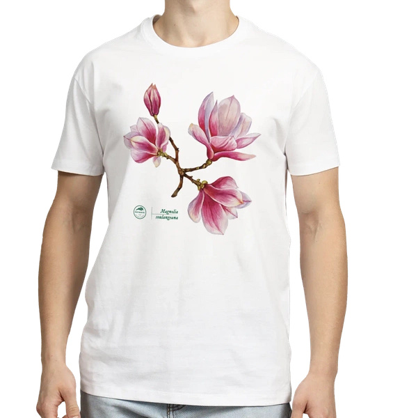 Saucer magnolia — classic t-shirt