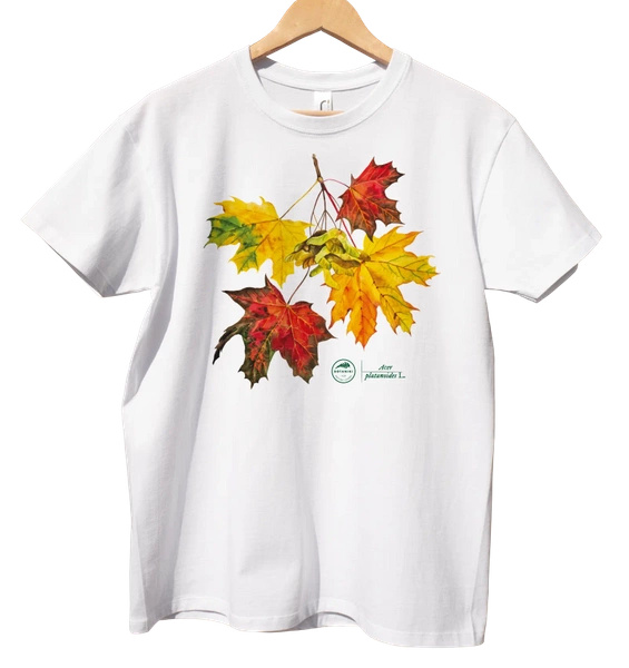 Norway maple — classic t-shirt