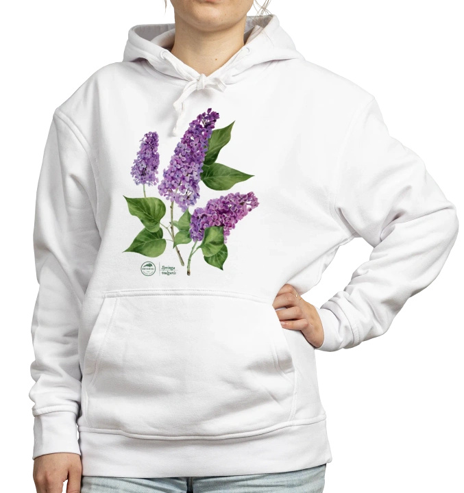 Common lilac — hoodie
