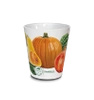 Cucurbit vegetables — latte mug