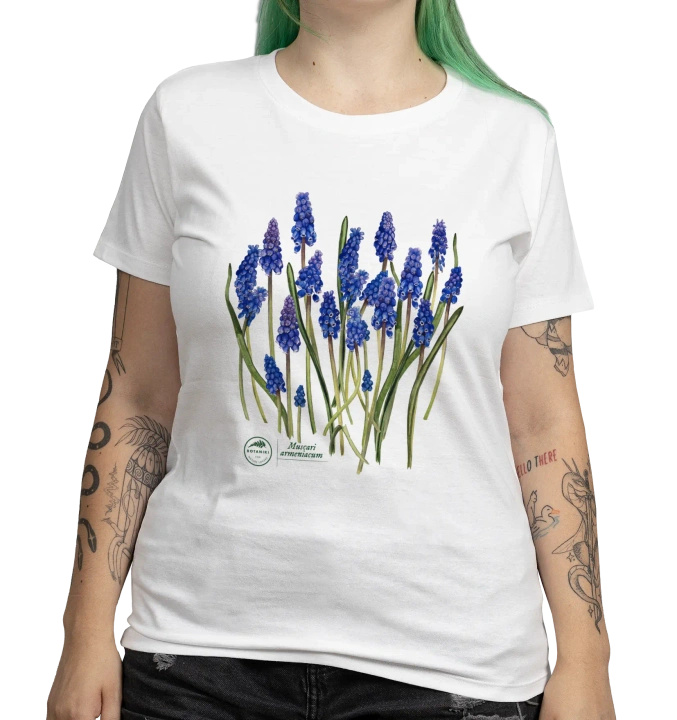 Armenian grape hyacinth — women's t-shirt