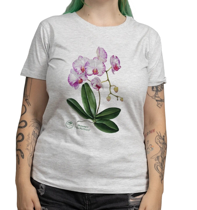 Orchid phalaenopsis — women's t-shirt