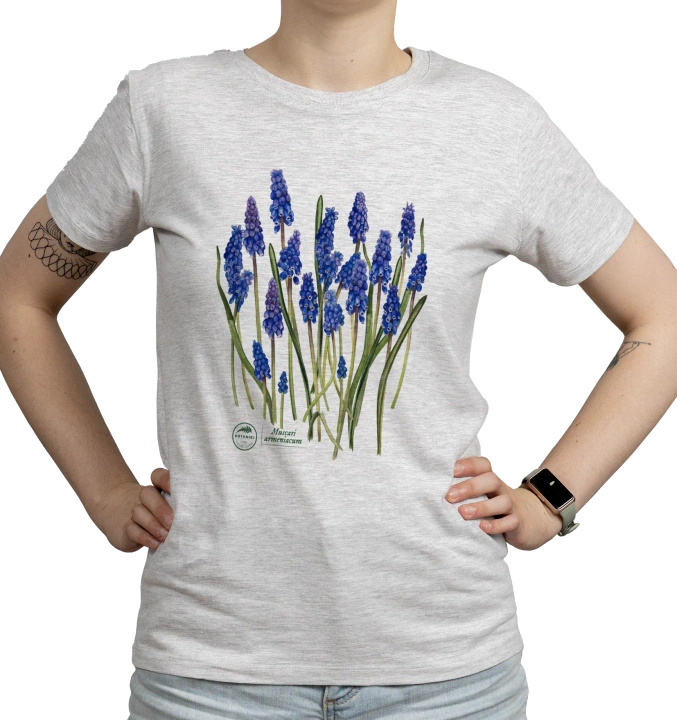 Armenian grape hyacinth — women's t-shirt