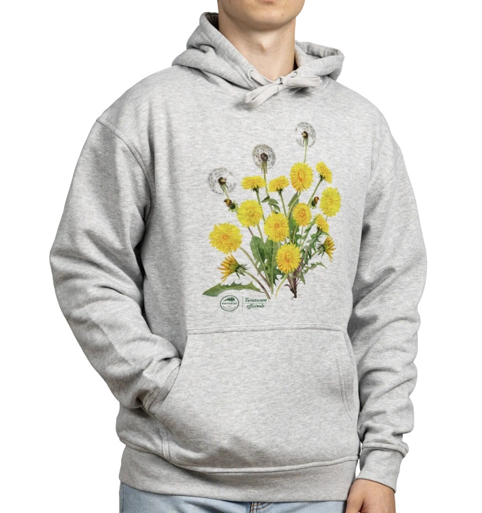 Dandelion — hoodie