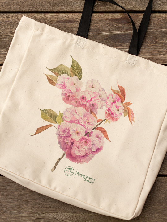 Cherry blossom 'Kanzan' — premium cotton bag