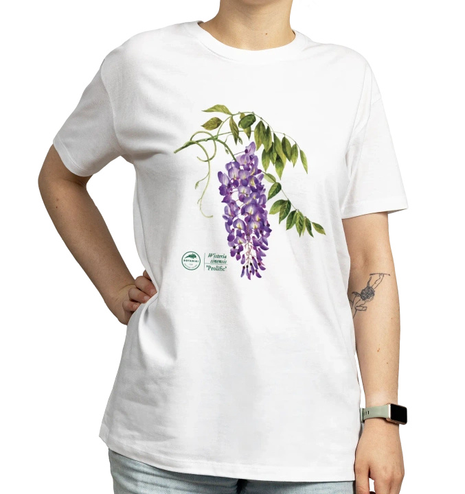 Chinese wisteria 'Prolific' — classic t-shirt