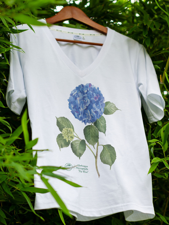 Hydrangea 'Jip Blue' — premium  t-shirt