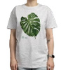 Swiss cheese plant — t-shirt classic