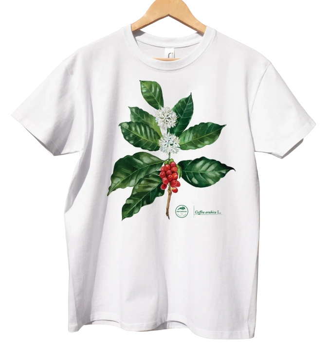 Coffea arabica — t-shirt classic