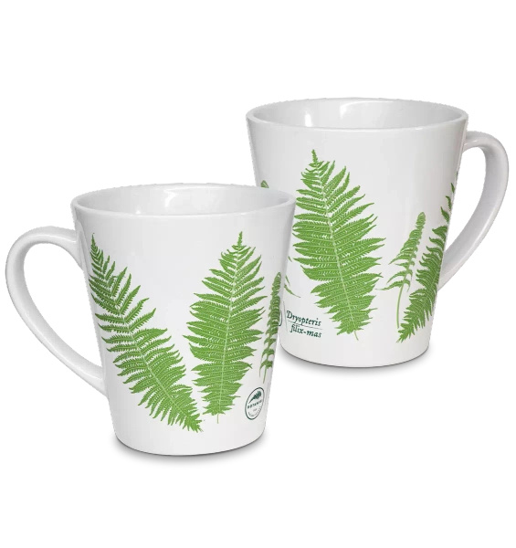 Male fern — latte mug