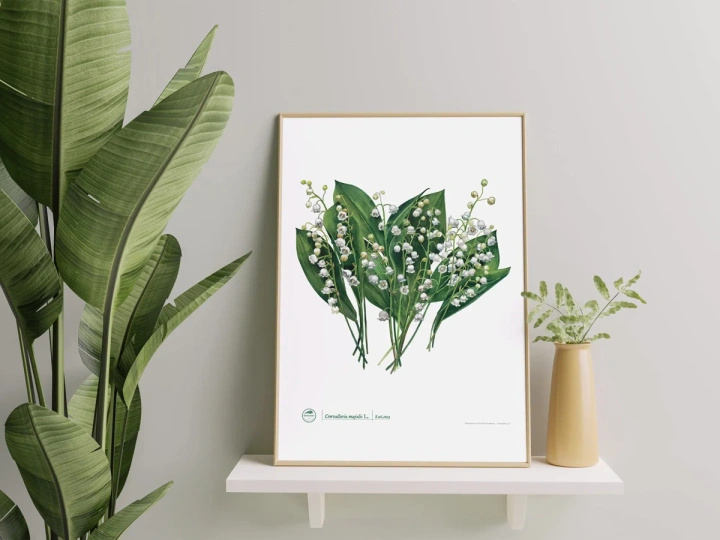 Lily of the valley — plant motif poster