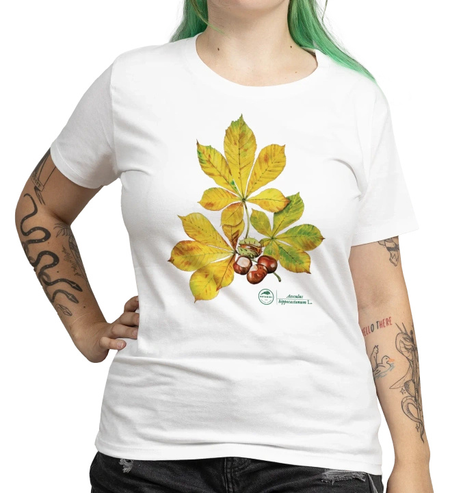 Chestnut tree — women's t-shirt