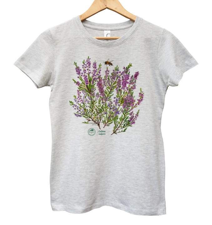 Common heather — women's t-shirt