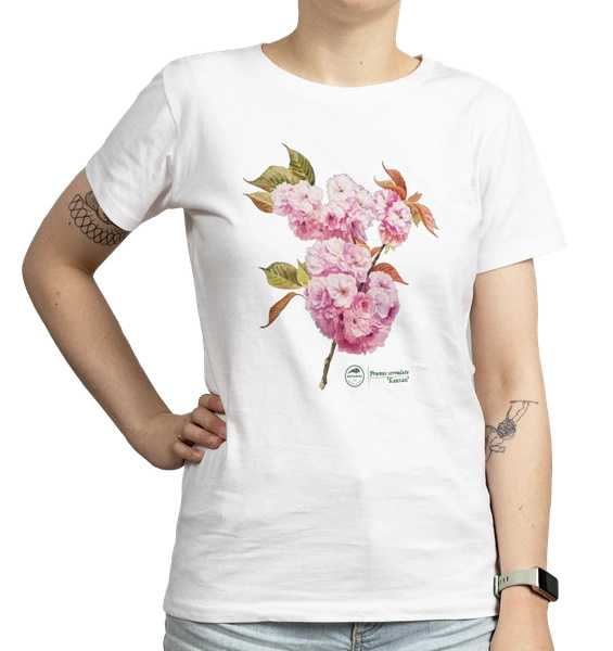 Cherry blossom 'Kanzan' — women's t-shirt