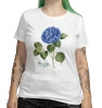 Hydrangea 'Jip Blue' — women's t-shirt