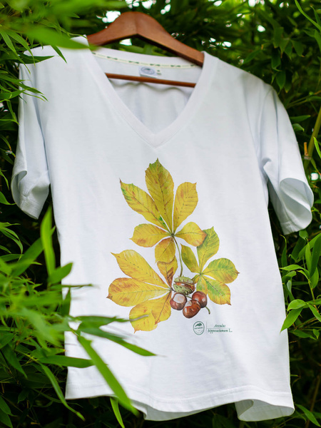 Chestnut — premium  t-shirt