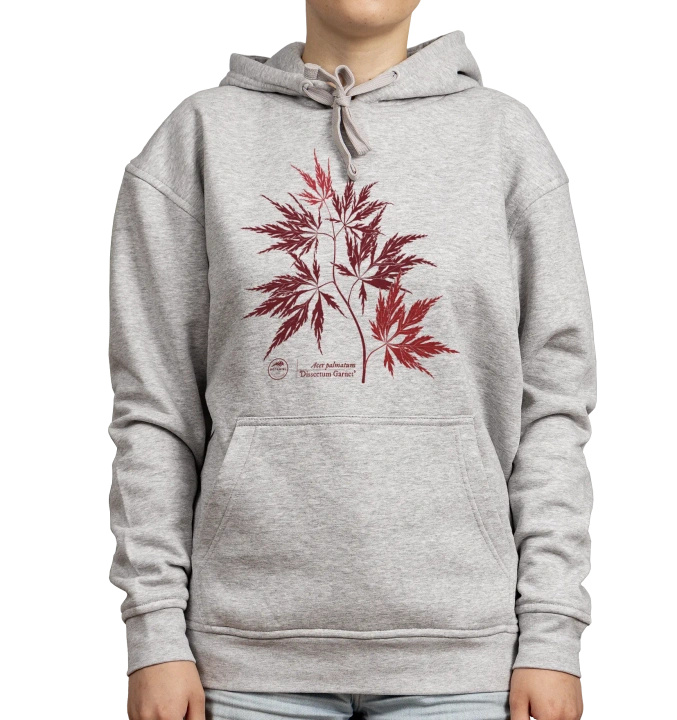 Japanese maple — hoodie