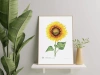 Common sunflower — plant motif poster