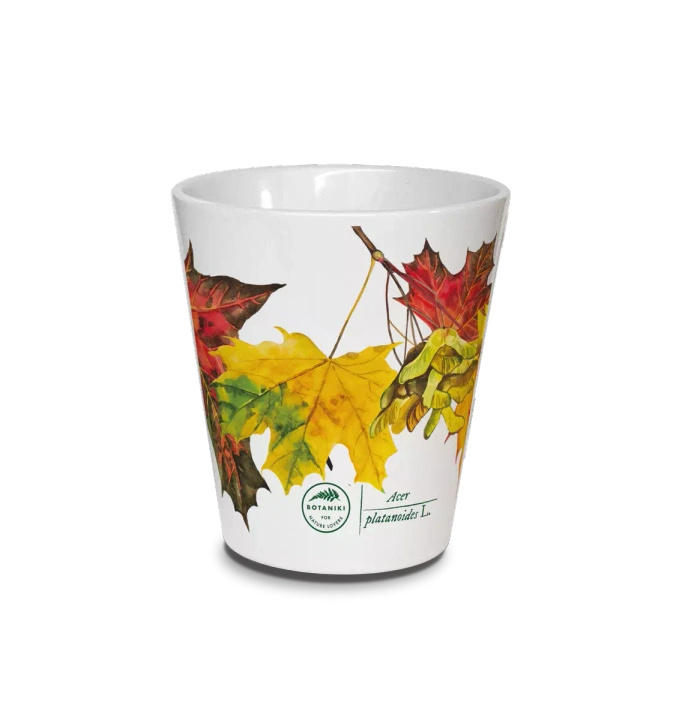 Norway maple — latte mug