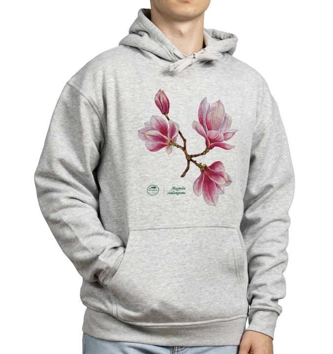 Saucer magnolia — hoodie