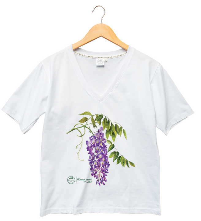 Chinese wisteria 'Prolific' — premium  t-shirt