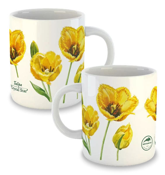 Tulip 'Crystal Star' — classic mug