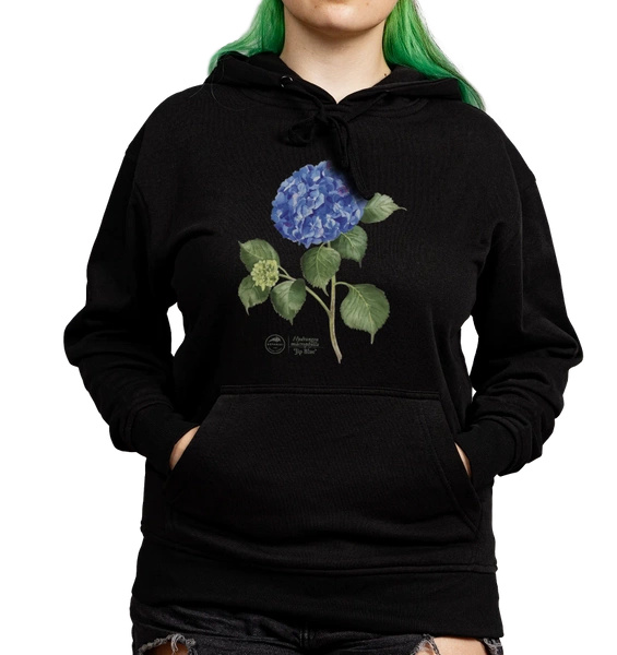 French hydrangea 'Jip Blue' — hoodie