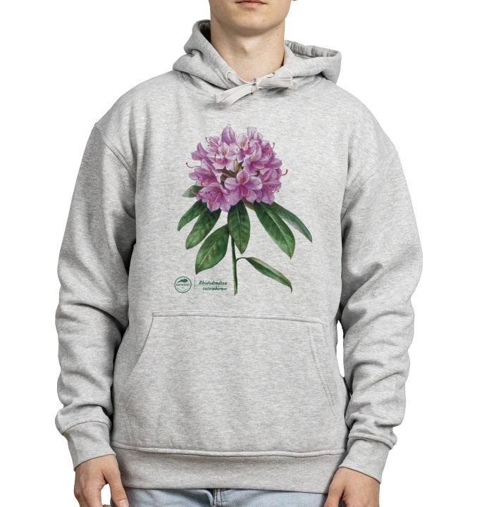 Catawba rosebay — hoodie