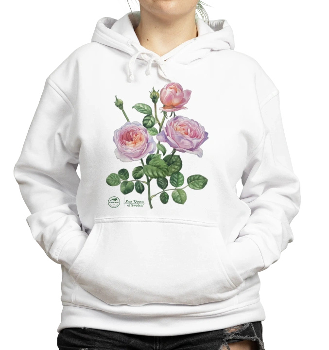 Rose 'Queen of Sweden'  — hoodie